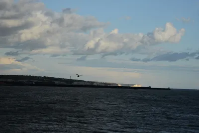DSC_9517 (Large).JPG